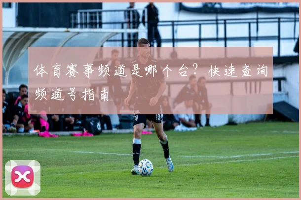 体育赛事频道是哪个台?快速查询频道号指南