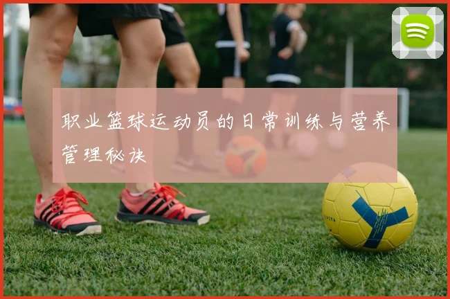 职业篮球运动员的日常训练与营养管理秘诀