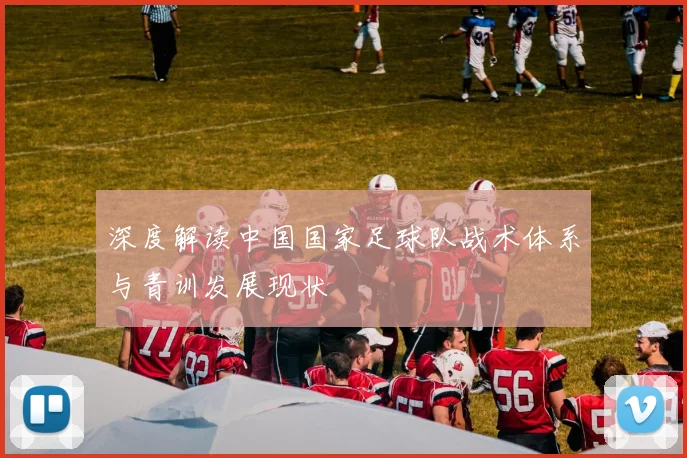 深度解读中国国家足球队战术体系与青训发展现状