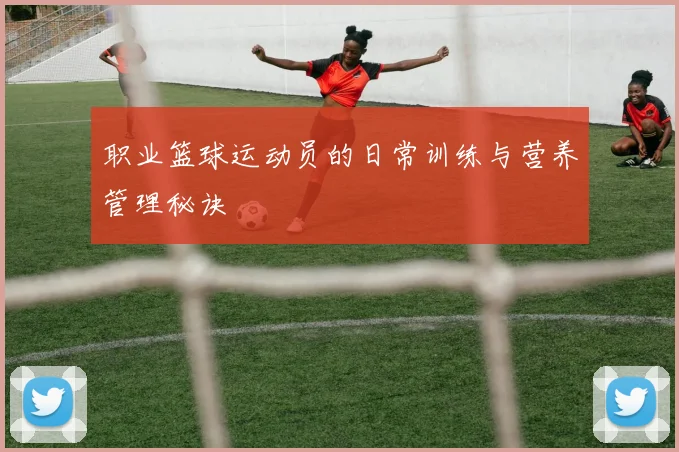 职业篮球运动员的日常训练与营养管理秘诀