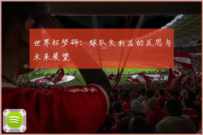 世界杯梦碎：球队失利后的反思与未来展望