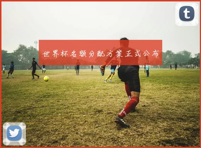 世界杯名额分配方案正式公布