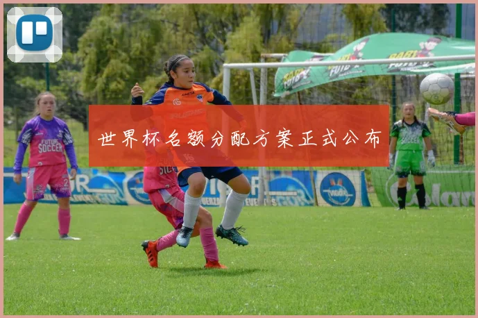 世界杯名额分配方案正式公布