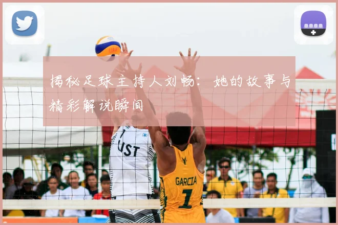 揭秘足球主持人刘畅：她的故事与精彩解说瞬间